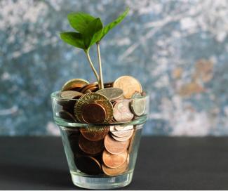 Vaso con monedas y planta