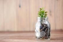 Plan Personalizado de Pagos (Ahorro)