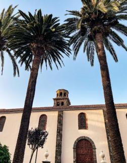 Imagen de palmeras y fachada de catedral